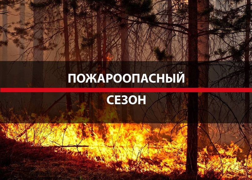 С 1 апреля 2024 года на территории Воронежской области установлен особый противопожарный режим..